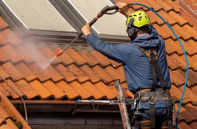 Démoussage et hydrofuge de toiture à Ludiès